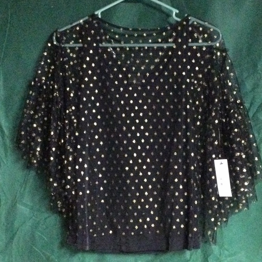 Shimmery Blouse